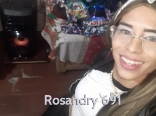 rosandry_691 Live Cam 66