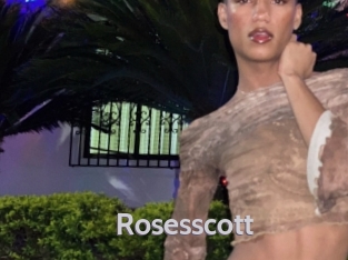 rosesscott Live Cam 66