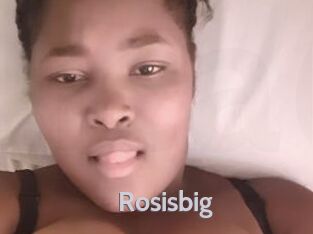 Rosisbig