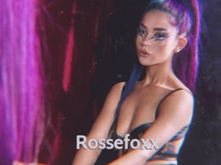 rossefoxx Live Cam 66