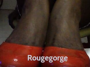 Rougegorge