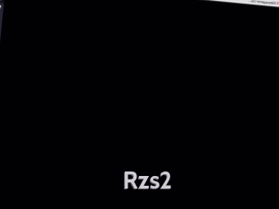 Rzs2