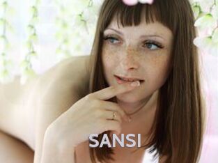 SANSI Live Cam 66