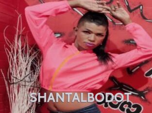 SHANTALBODOT
