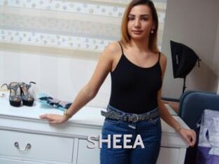SHEEA Live Cam 66