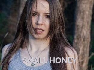 SMALL_HONEY