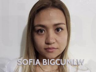 SOFIA_BIGCUMLW