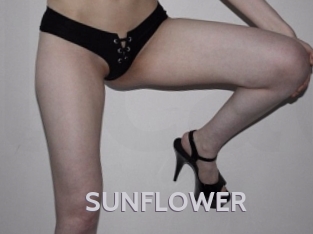 SUNFLOWER Live Cam 66
