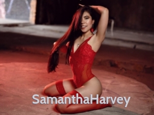 SamanthaHarvey Live Cam 66