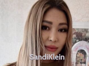 SandiKlein