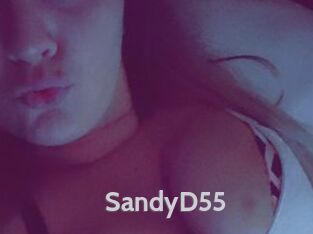 SandyD55