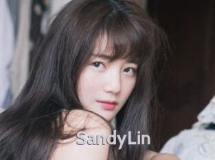 SandyLin Live Cam 66