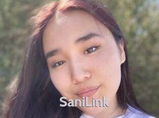 SaniLink