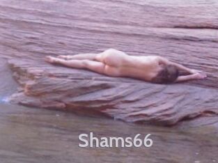 Shams66