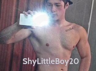 ShyLittleBoy20