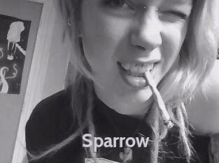 Sparrow