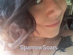 SparrowSoars