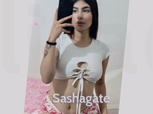 Sashagate