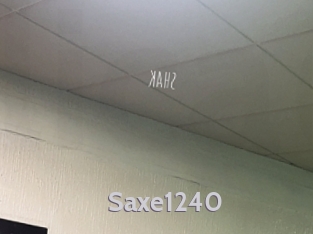Saxe1240