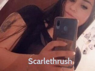 Scarlethrush
