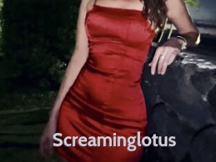 Screaminglotus