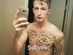 Sdlivekc