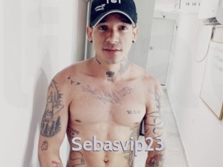 sebasvip23 Live Cam 66
