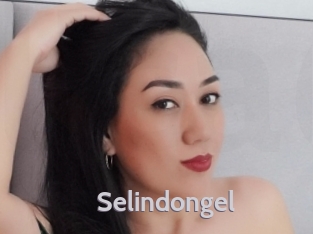 Selindongel