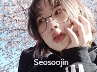 Seosoojin