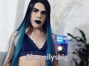 shaneilysbig Live Cam 66