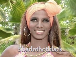 Sharlothotblack