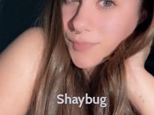 Shaybug