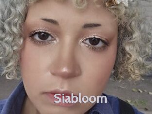 Siabloom