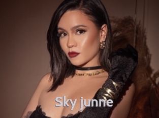 Sky_junne