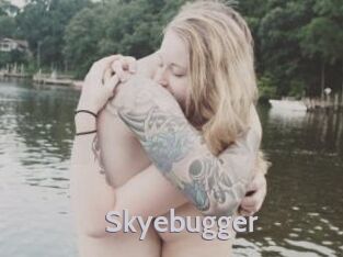Skyebugger