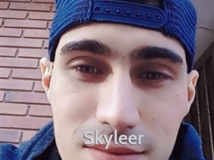 skyleer Live Cam 66