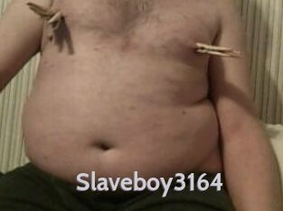 Slaveboy3164