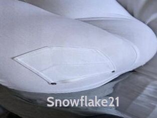 snowflake21 Live Cam 66