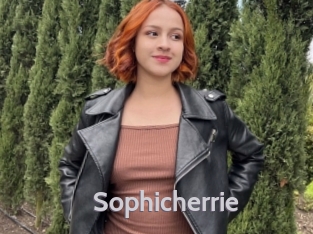 Sophicherrie