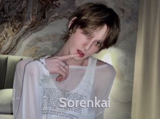 sorenkai Live Cam 66