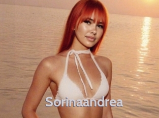 sorinaandrea Live Cam 66