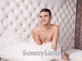 Sosexykarllfu