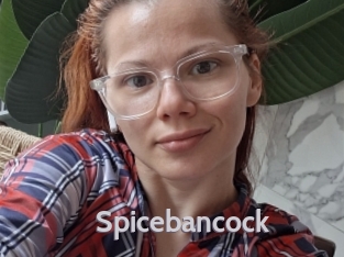 Spicebancock