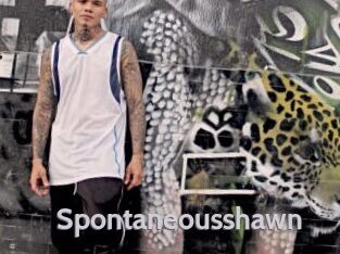 Spontaneousshawn