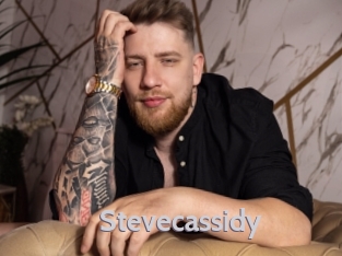 stevecassidy Live Cam 66