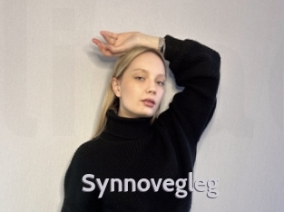 synnovegleg Live Cam 66