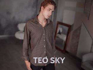 TEO_SKY