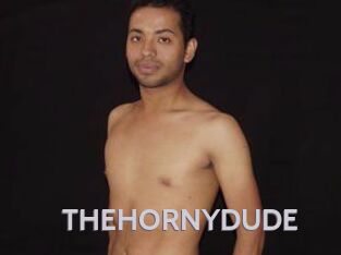THEHORNYDUDE