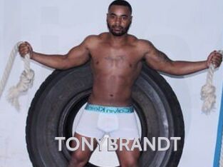 TONYBRANDT