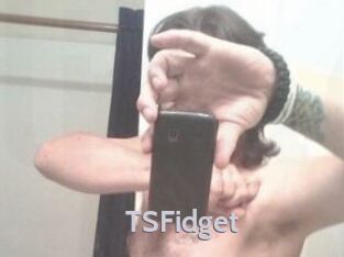 TSFidget